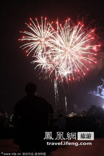 上海国际音乐烟花节在浦东世纪公园开幕