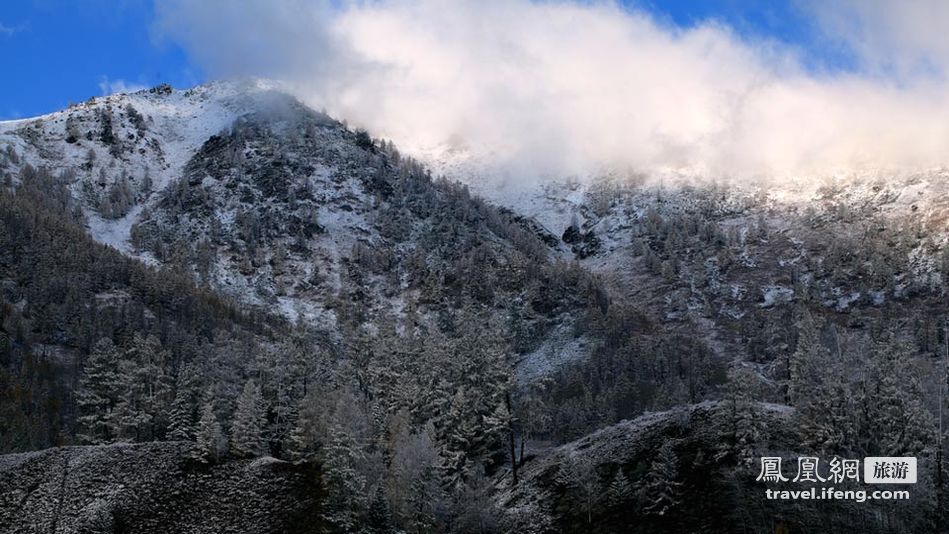 雪后恰游喀纳斯 纯净之景让心变得安静