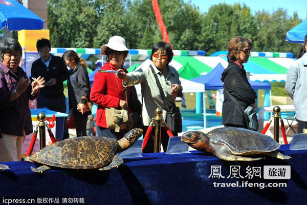 北京朝阳国际旅游文化节开幕 现场火爆