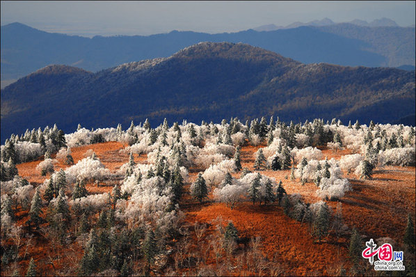 览凤凰奇景 赏五花山色