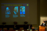 瑞典卡罗琳医学院3日在斯德哥尔摩宣布，将2011年诺贝尔生理学或医学奖授予美国科学家布鲁斯-博伊特勒（前译巴特勒）、生于卢森堡的法国籍科学家朱尔斯-霍夫曼以及加拿大科学家拉尔夫-斯坦曼，以表彰他们在免疫学领域取得的研究成果。2011年度诺贝尔生理学或医学奖由三人分享。其中一半奖励布鲁斯-博伊特勒(Bruce A. Beutler)和朱尔斯-霍夫曼(Jules A. Hoffmann)在激活先天免疫方面的发现。另外一半奖励拉尔夫-斯坦曼(Ralph M. Steinman)“发现树状细胞和它在适应性免疫中的作用”。（资料图）