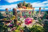 Carl Warner，英国摄影师，出生于1963年。他开创了一种独特的风景摄影形式，画面所呈现的色彩和形状都是用肉、蔬菜、水果制作而成，他将这种艺术形式命名为“Foodscapes”（食物风景），所有作品都是在Carl伦敦的摄影棚中拍摄。
