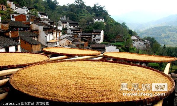 中国最美乡村 江西婺源忙丰收胜景迎国庆