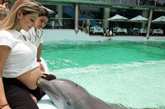 海豚疗法　秘鲁利马。一个海豚抚摸怀孕女人的肚子。此疗法是一种对儿童的心理能力，良好的兴奋剂。（文/凤凰网健康综合，图/资料图）
