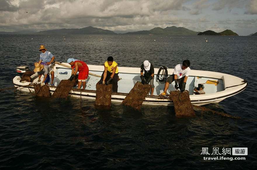 菲律宾神秘小岛盛产金色珍珠