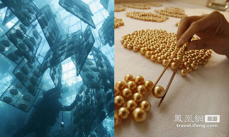 菲律宾神秘小岛盛产金色珍珠