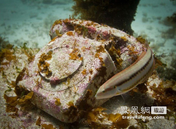 深入海底探秘最神奇的海底雕塑博物馆