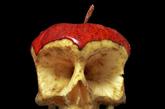 48岁的艺术家迪米特里·特卡拉夫用斧，锯和电钻在新鲜水果和蔬菜雕成骷髅头的形状，并用解剖刀，镊子和棉花进行加工润色，对细节进行修饰。
