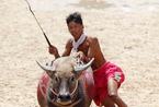 泰国举办惊险水牛赛跑庆祝丰收