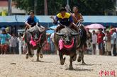 泰国春布里举行水牛赛跑，骑手们驾着水牛飞奔。春布里曾经是泰国东部的重要贸易城市，一年一度的水牛赛跑活动是为了庆祝水稻丰收而举办的。
