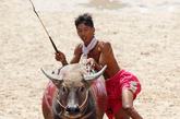 泰国春布里举行水牛赛跑，骑手们驾着水牛飞奔。春布里曾经是泰国东部的重要贸易城市，一年一度的水牛赛跑活动是为了庆祝水稻丰收而举办的。

