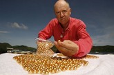 位于菲律宾西南部省份巴拉望附近的海域，以其得天独厚的自然条件，孕育出璀璨耀眼的金色珍珠。金色珍珠是一种海水养殖珠，产自白唇贝或金唇贝中，非常珍贵。

