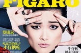 近日，李宇春继张曼玉、ladygaga之后受邀拍摄国际主流时尚大刊《费加罗FIGARO》杂志封面大片，首次以超模的姿态让大家看到她不常见的不一样的一面，粗眉烟熏妆霸气十足。