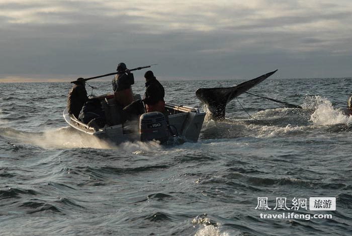 探秘楚科奇渔民原始强悍捕鲸