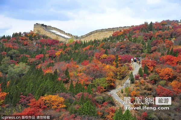 北京八达岭红叶岭红叶进入最佳观赏期