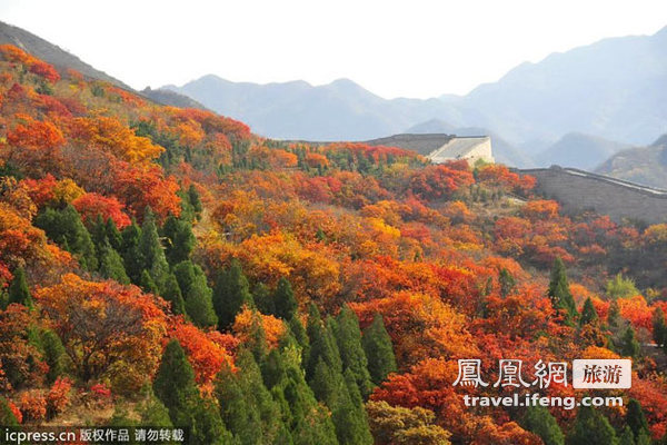 北京八达岭红叶岭红叶进入最佳观赏期