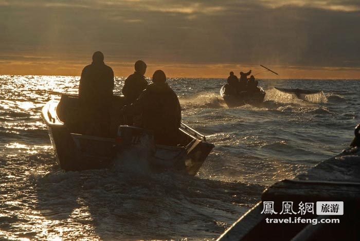 探秘楚科奇渔民原始强悍捕鲸