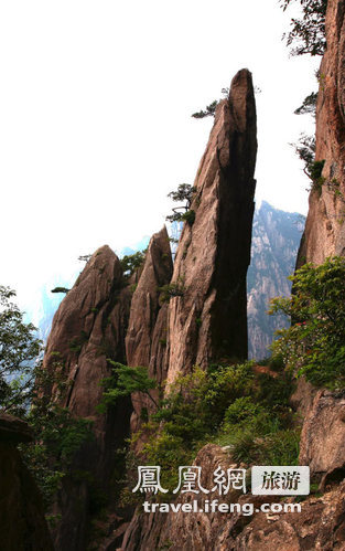 秋登黄山白云谷 云雾缭绕中寻觅人间仙境