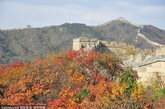 2011年10月15日，位于青龙桥车站附近的八达岭红叶岭进入最佳观赏期，许多市民与游客慕名前来观赏秋季红叶的亮丽风采。
