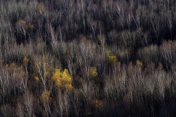 秋季自驾喇叭沟 原始森林中感受清新的畅快