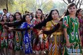 新疆维吾尔自治区泽普县在金胡杨国家森林公园，举办一场独具民族特色的“长辫子比赛”。参赛的37名选手，头发长度都超过了1米，最长的达1.65米。