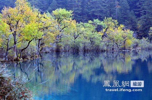 深秋自驾九寨沟 天府之地迷失斑斓色彩中