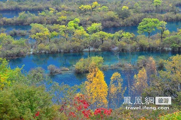 深秋自驾九寨沟 天府之地迷失斑斓色彩中