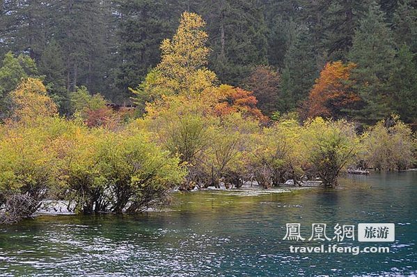 深秋自驾九寨沟 天府之地迷失斑斓色彩中