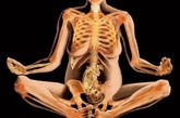 X射线下令人震撼的孕妇和人体艺术（图片来源：家庭医生在线）