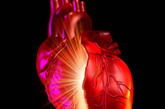没自我修复功能：人类肝脏可以自我修补，但心脏不行。让心脏具有肝脏的再生功能将是一项重大的医学突破。另外，心脏还需要一种新型血管，也就是可以自动生长的血管，可以从栓塞处绕过，继续发挥输氧的功能。
