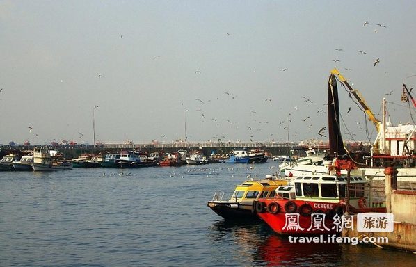 游荡伊斯坦布尔海鲜市场 实录海鲜大荟萃