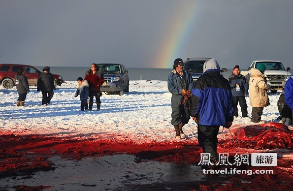 探秘爱斯基摩人的捕鲸活动：血腥残忍引争议