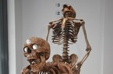 美国纽约，在博物馆中进行着小型的骷髅展览。这些骷髅作品在纽约引发轰动，以各种挑衅性性姿态冲击着纽约人。这些雕塑是由法国设计师Jean Marc-Laroche创作的，在第五大道进行展览。雕塑完全由树脂做成。