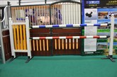 2011中国（上海）国际马业展览会上隔离检疫场模型。