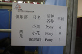 三只Pony小矮马，分别为6岁的小黑，9岁的小花与3岁的BOJENI'S。