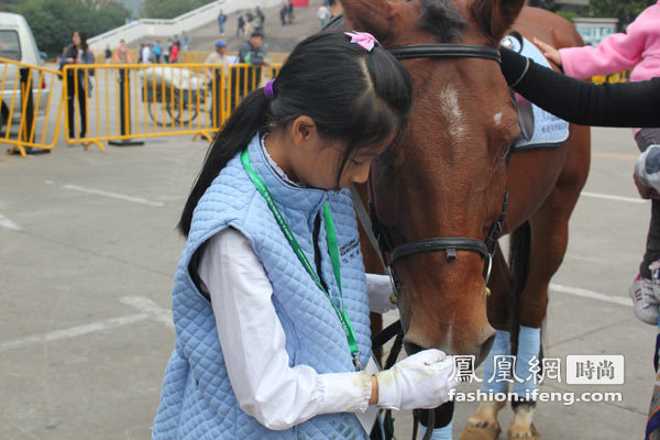 10岁女童练马术 揭秘背后故事