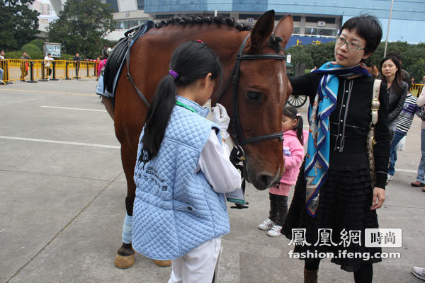 10岁女童练马术 揭秘背后故事