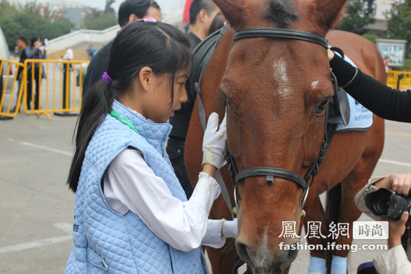 10岁女童练马术 揭秘背后故事