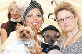 别以为只有人类才可以享受奢华的婚礼，狗狗也可以！2011年4月，32岁的英国单身女子路易丝-哈里斯就豪掷20150英镑（约合人民币 213781元）为她的狗狗举办了一场令人咂舌的奢华婚礼。该婚礼在英国埃塞克斯海滨城市布拉德维尔的一座大厦前举行，有80多位宾客出席，他们共同见证了这对狗狗“夫妻”“喜结良缘”的整个过程。
