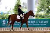 上海森林骑士俱乐部
骑士马场位于美丽的上海共青森林公园内，已有20多年历史，公园屹立于大都市黄浦江畔。
