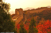 2011年10月28日拍摄于北京延庆八达岭国家公园红叶岭风景区。