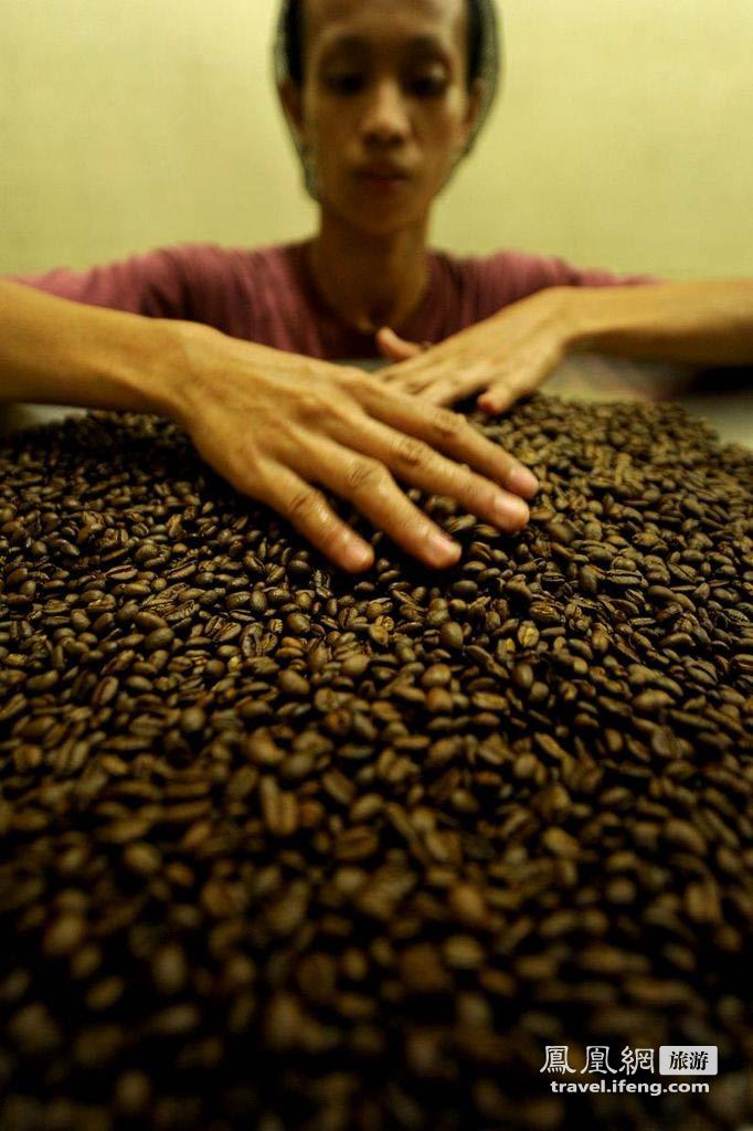 探秘世界最贵麝香猫咖啡制作全过程