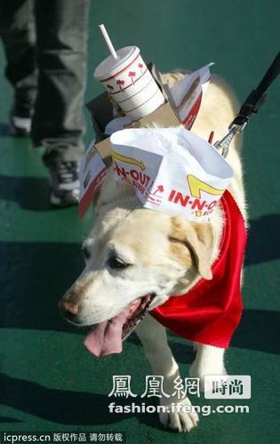 美国加州举办宠物狗变装游行