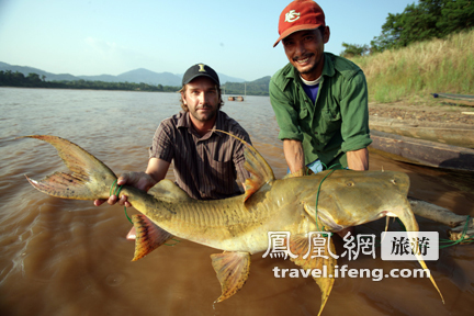 盘点湄公河中的惊人巨鱼