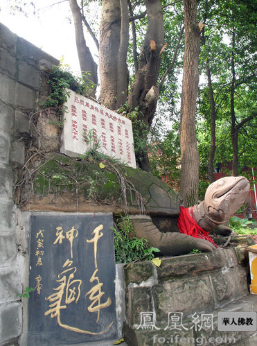 巴山灵景 川东名刹——重庆华岩寺