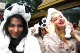四川成都熊猫基地，国际小姐们和熊猫合影。今日，参加第十五届国际小姐世界大会全球总决赛的佳丽们参观成都大熊猫繁育基地与大熊猫亲密接触。