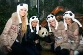 四川成都熊猫基地，国际小姐们和熊猫合影。今日，参加第十五届国际小姐世界大会全球总决赛的佳丽们参观成都大熊猫繁育基地与大熊猫亲密接触。