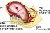 分娩全过程是从规律宫缩开始至胎儿胎盘娩出为止，临床上一般分为三个产程：第一产程 (宫颈扩张期)：指宫缩30秒左右，间歇5～6分钟开始，到子宫颈口开全。（图片来源：资料图）