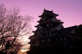 天守阁,这是霞光下的冈山城。冈山城是日本冈山市最有代表性的古代建筑之一，也是日本国宝之一，日本战国时代著名城堡之一。冈山城的历史非常悠久，这样追溯到日本的战国时期。那个时候，冈山城是地方郡主大名将军所居住的府邸。而高耸入云的日本古代建筑风格又让人们称呼这类古代城堡建筑为：天守阁。