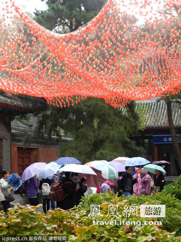 香山红叶节即将闭幕 周末游客冒雨前往